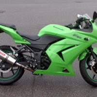Escape compatible con Kawasaki Ninja 250 R 2007-2016, Gpe Ann. titanium, Escape legal, homologado, silenciador con db killer desmontable y tubo de conexión específico 